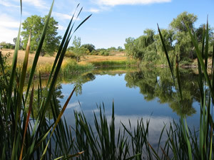 Two Ponds NWR