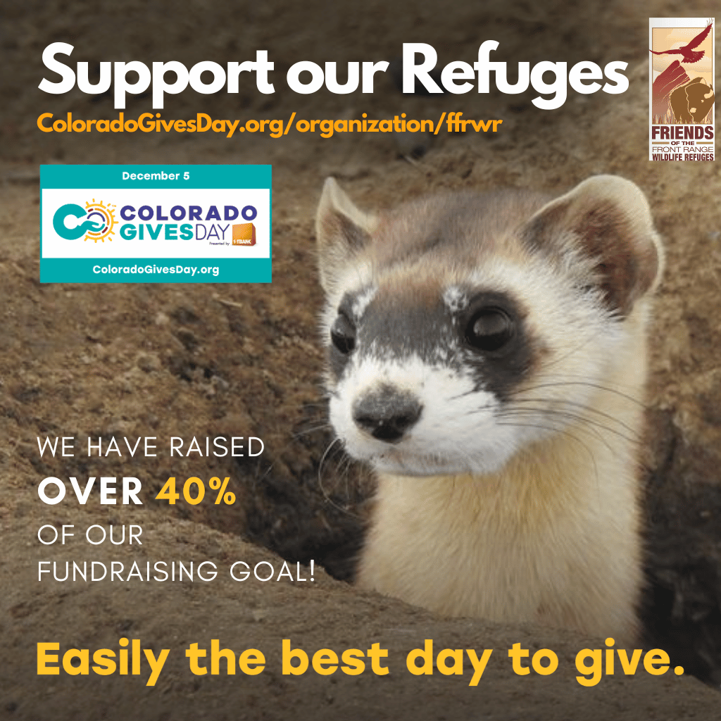 Support our Refuges. We have raised over 40% of our fundraising goal! Colorado Gives Day